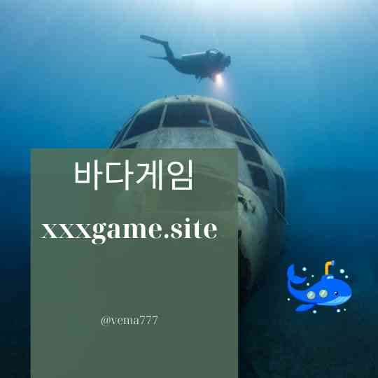 바다이야기사이트